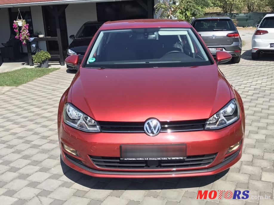 2014' Volkswagen Golf 7 photo #1