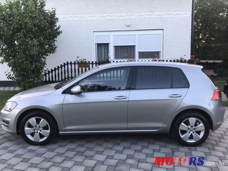 2013' Volkswagen Golf 7 1,6 Tdi Bmt photo #1