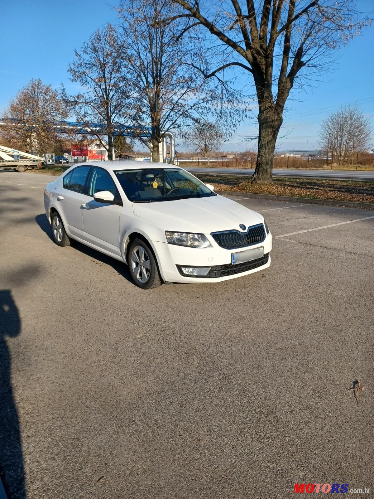 2013' Skoda Octavia 1,6 Tdi photo #3