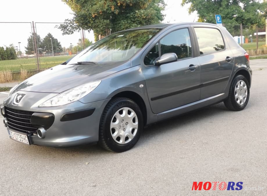 2007' Peugeot 307 photo #1