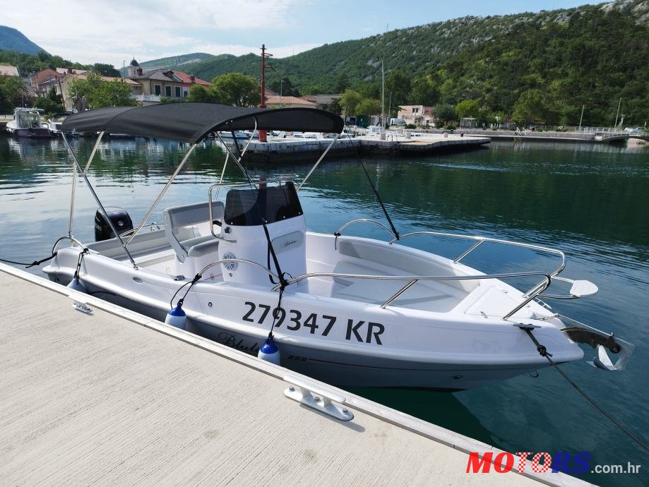 2023' Bluline photo #1