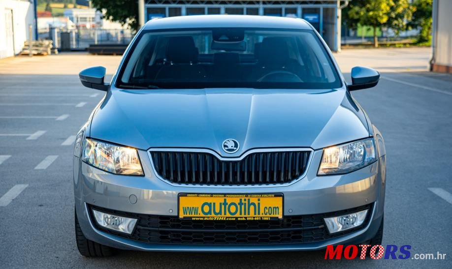 2013' Skoda Octavia 1,6 Tdi photo #1