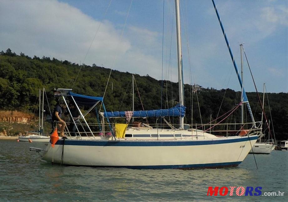 1986' Greben photo #1