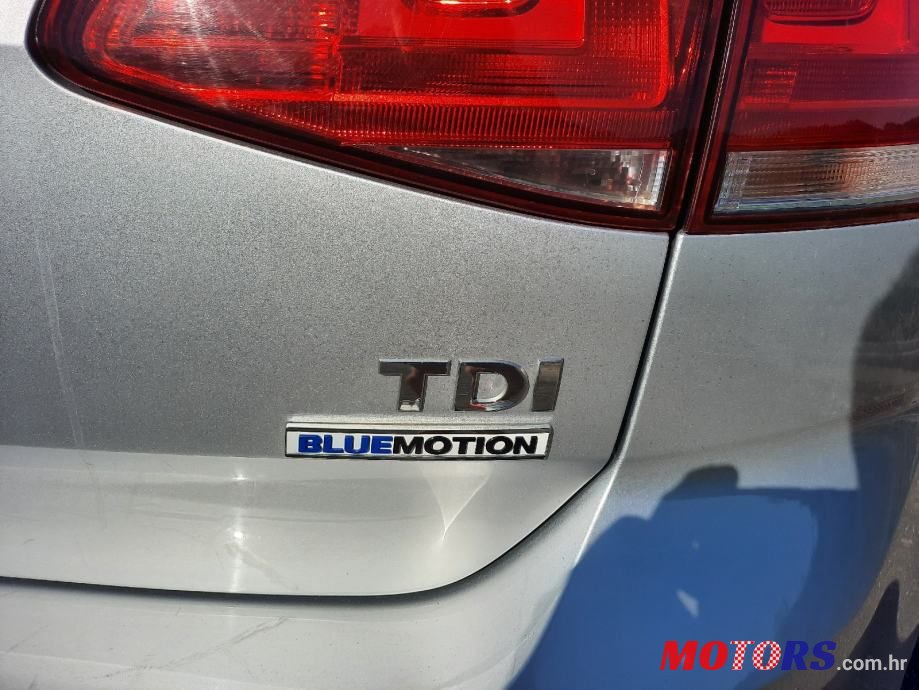 2014' Volkswagen Golf 7 photo #4