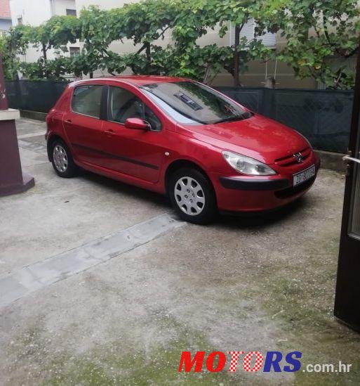 2004' Peugeot 307 1,4 16V photo #1