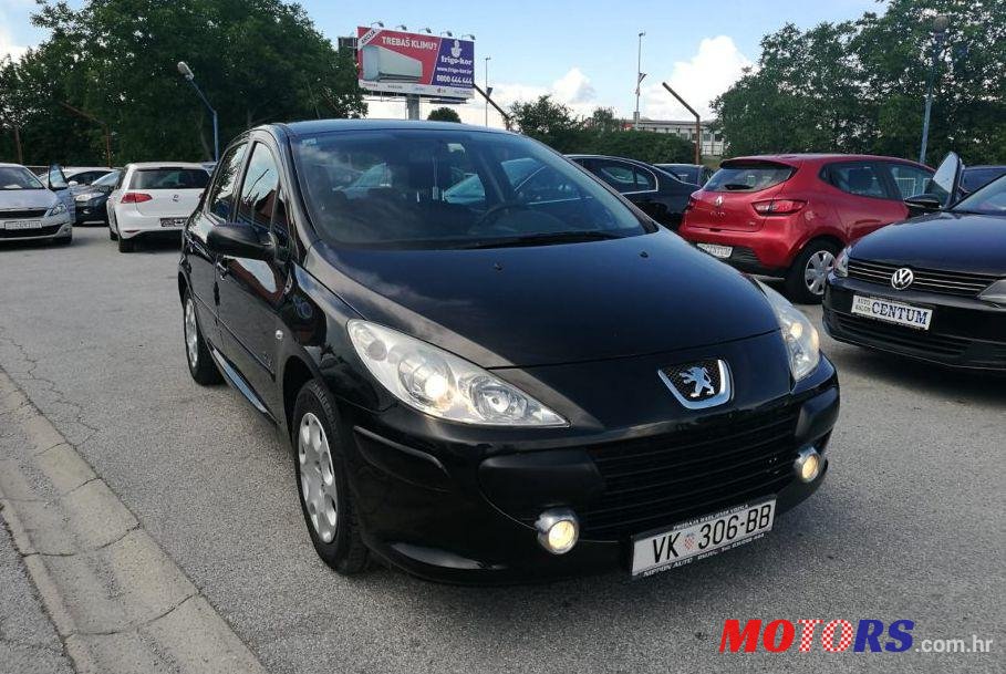 2007' Peugeot 307 1,4 16V photo #2
