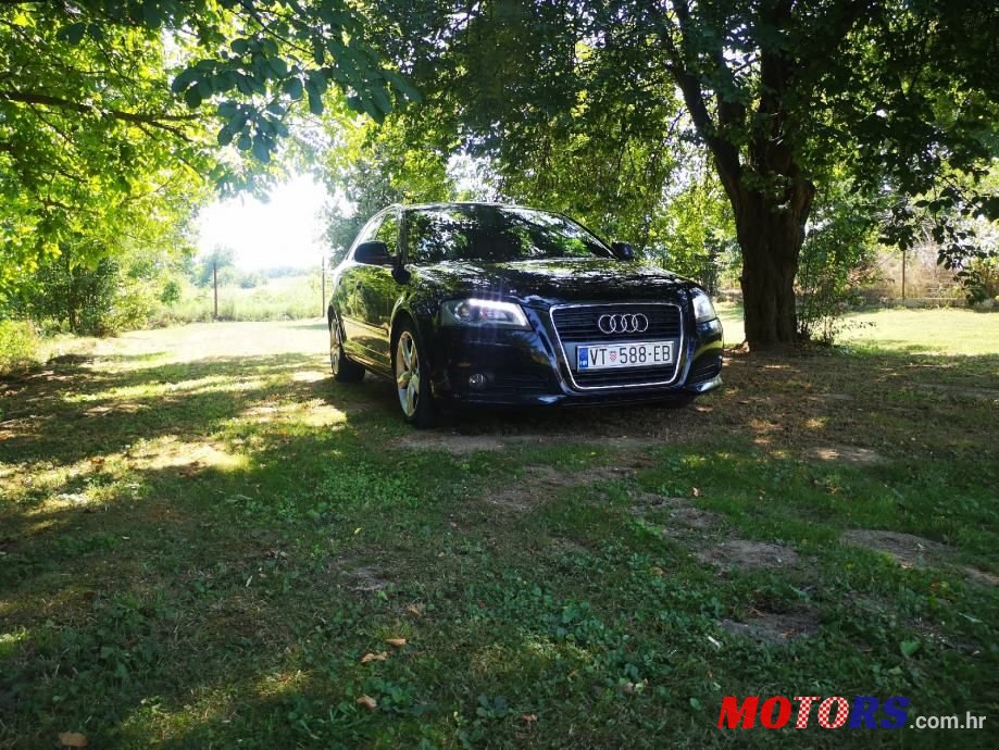 2009' Audi A3 photo #4