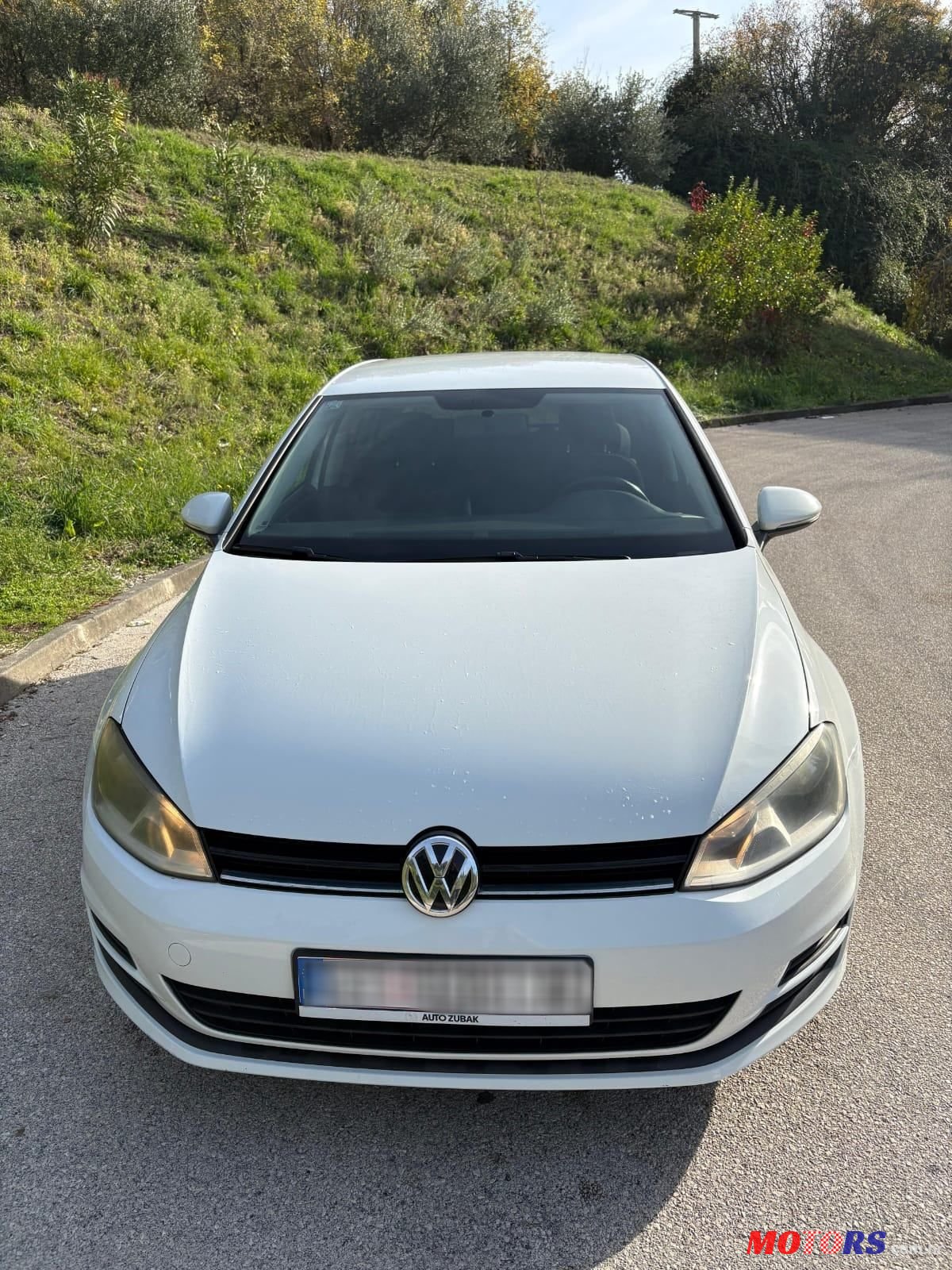 2013' Volkswagen Golf VII 1,6 Tdi Bmt photo #2
