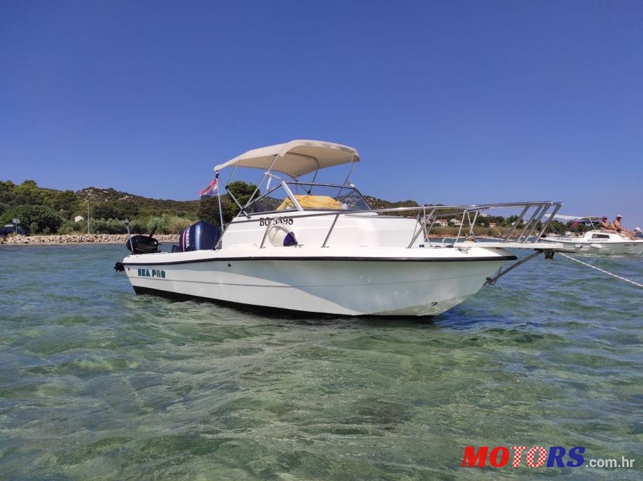 2000' Sea Pro 19WA photo #1