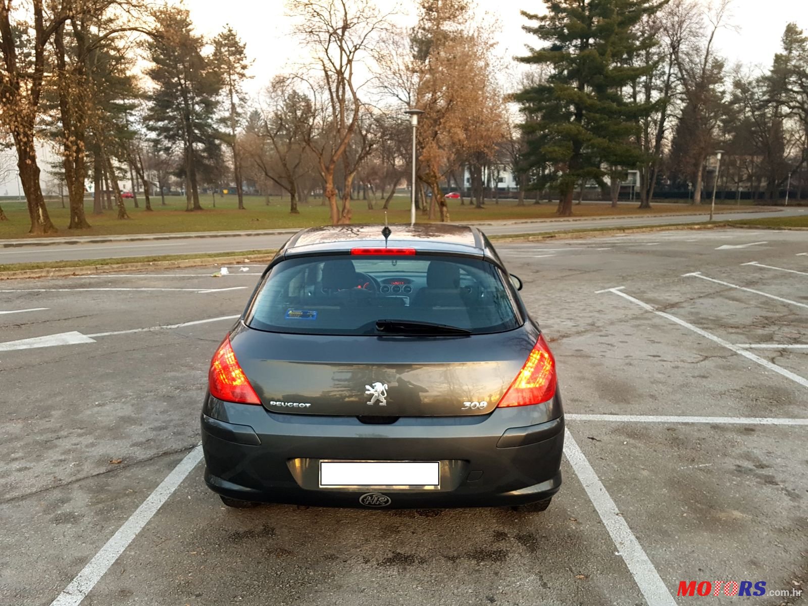 2007' Peugeot 308 Model: Premium photo #3