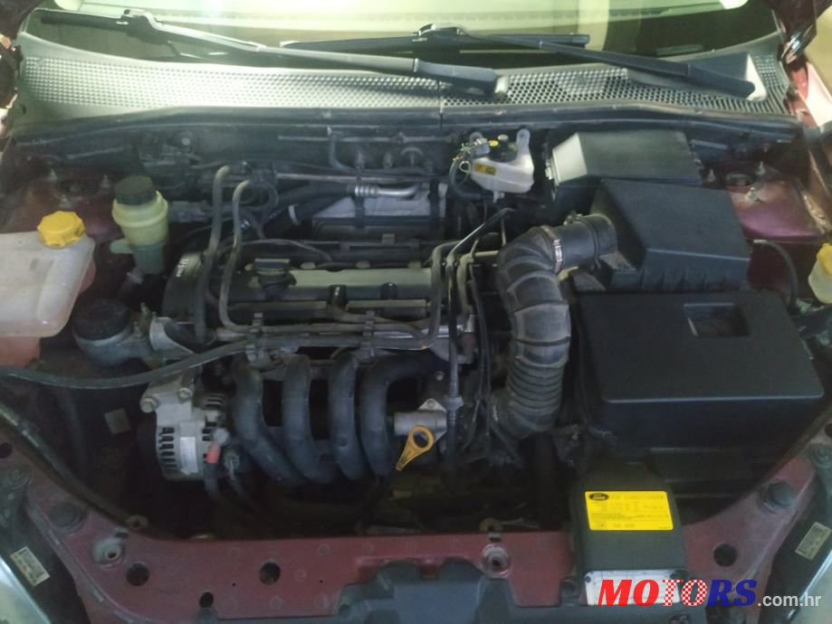 2004' Ford Focus photo #5