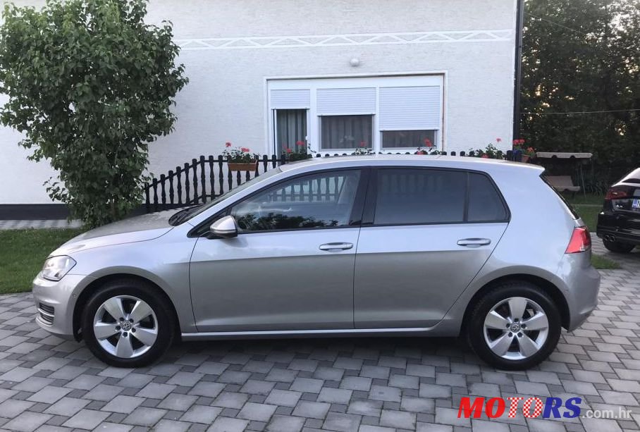 2013' Volkswagen Golf 7 1,6 Tdi Bmt photo #1