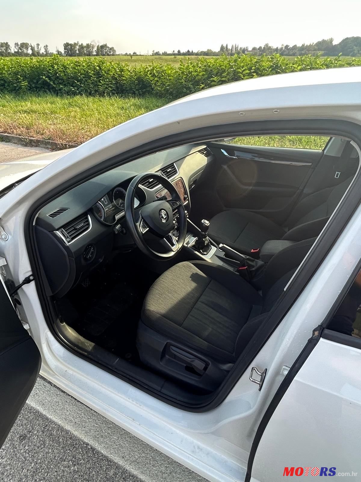 2019' Skoda Octavia 2,0 Tdi photo #6