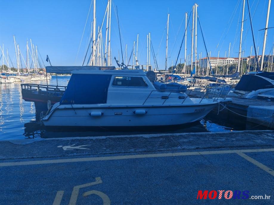 2004' Damor photo #1