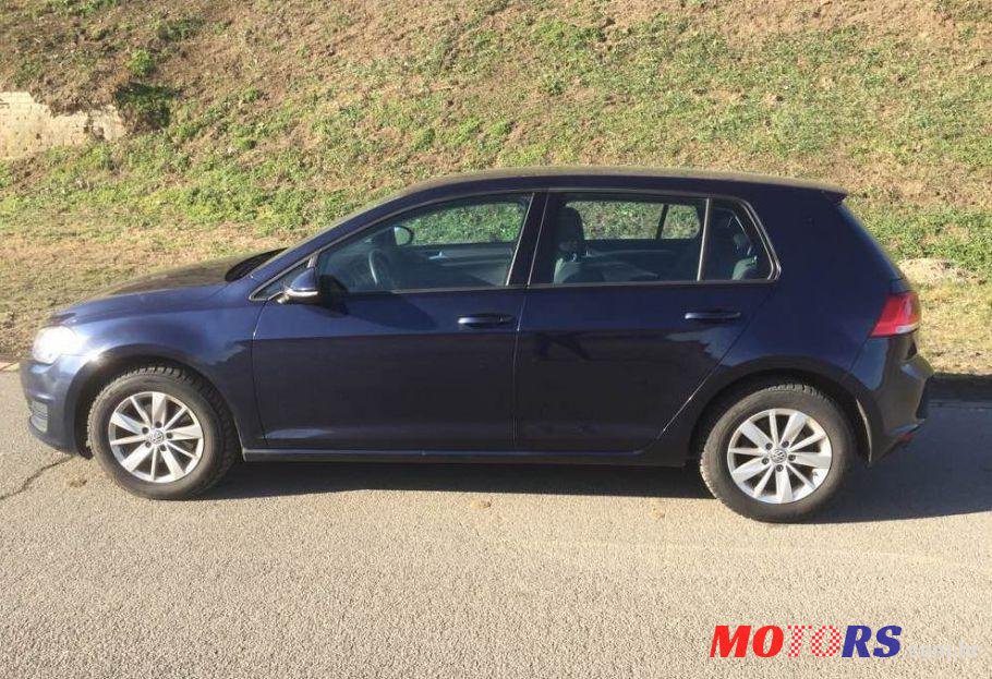 2013' Volkswagen Golf VII 1,6 Tdi Bmt photo #1
