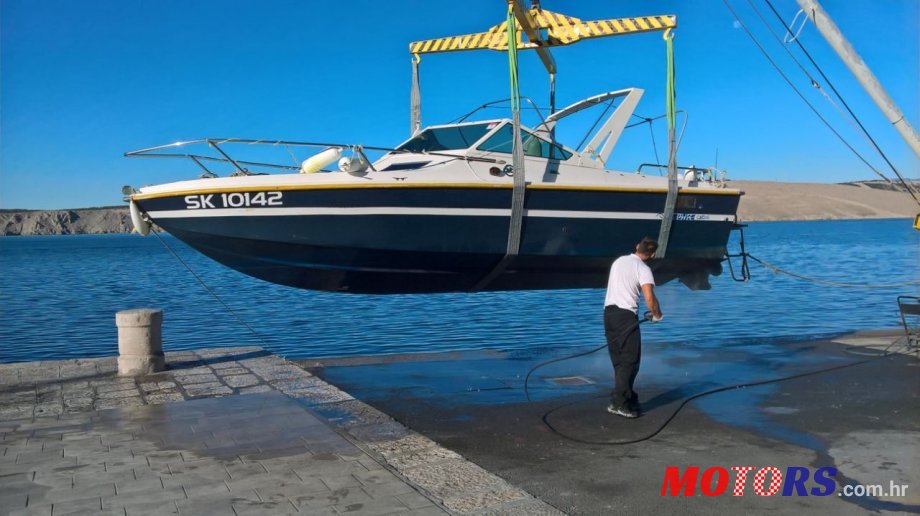 1981' Cigala & Bertinetti photo #1