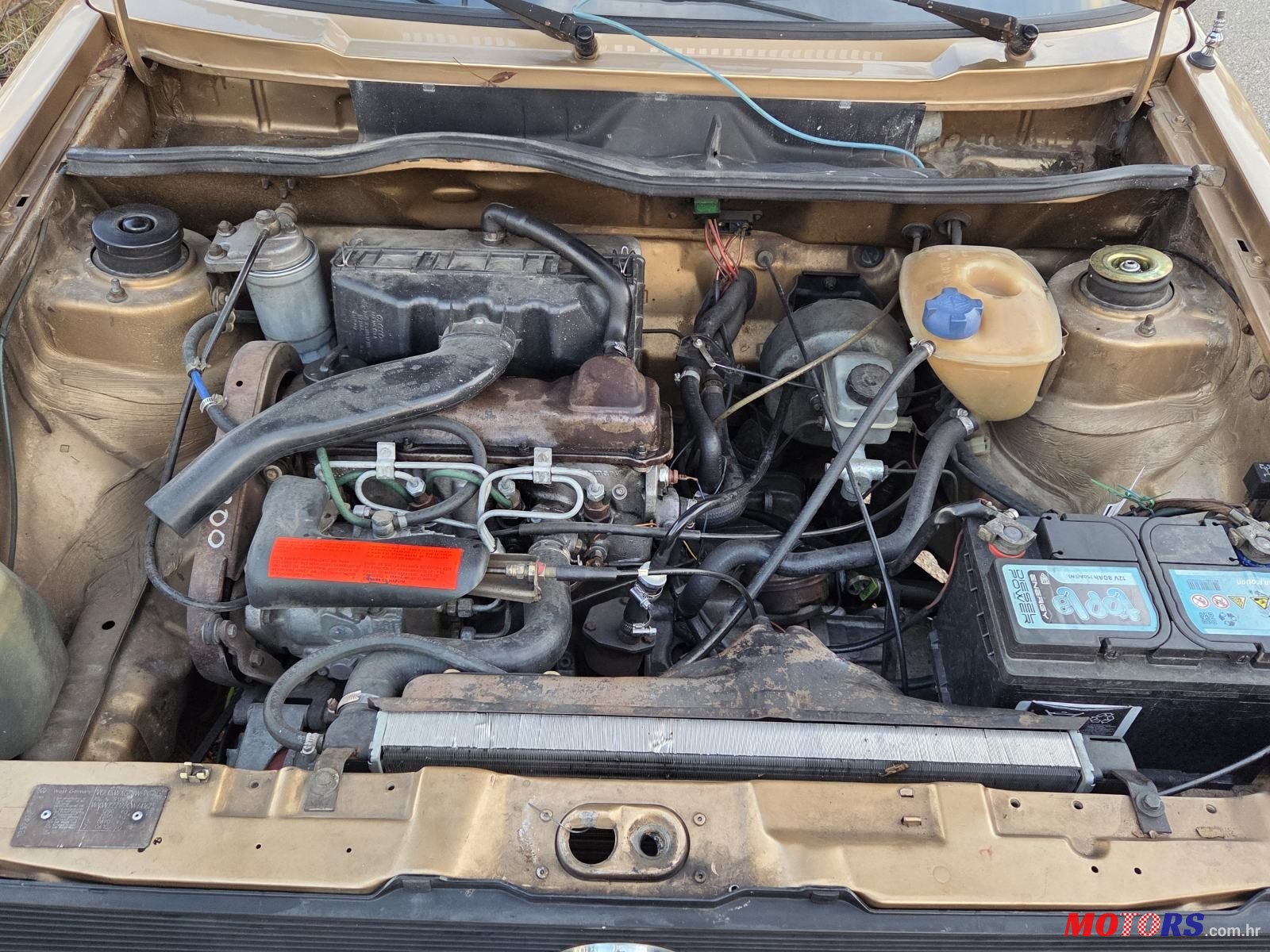 1982' Volkswagen Golf I C D photo #5