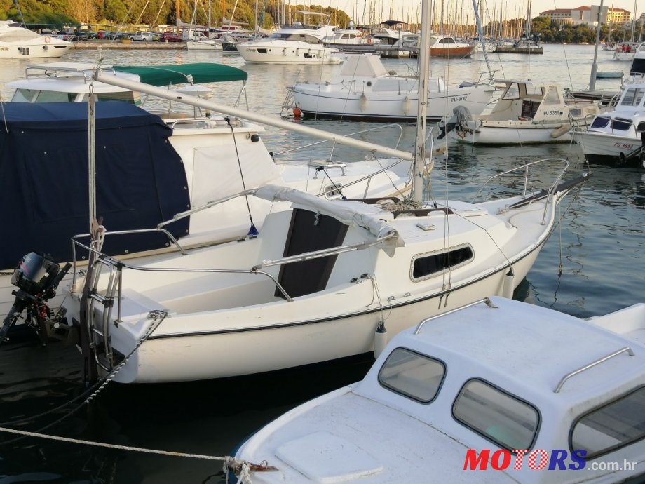 1975' Suzuki photo #1