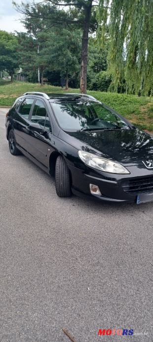 2006' Peugeot 407 Sw photo #3