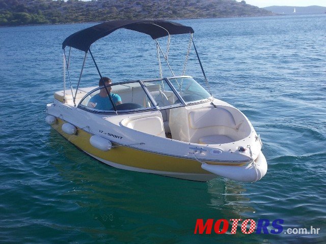 2010' Sea Ray photo #1