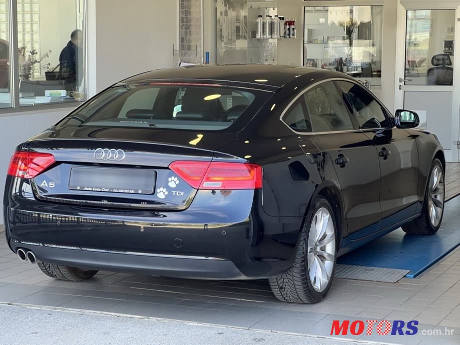 2012' Audi A5 Sportback photo #6