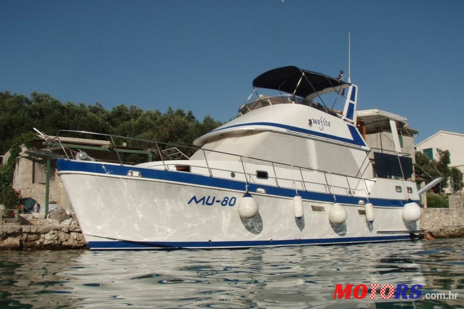 1989' Golden Star photo #1