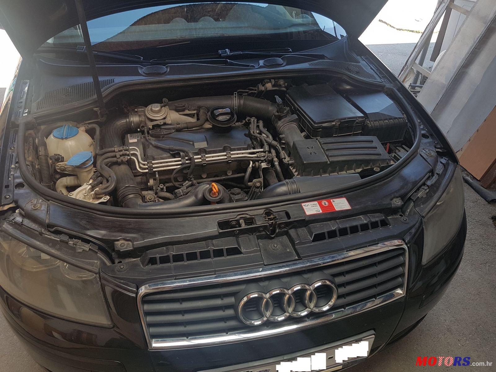 2004' Audi A3 1.9TDI 77kW photo #2