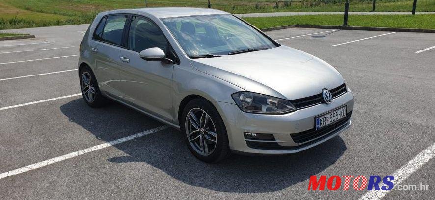 2013' Volkswagen Golf VII 1,6 Tdi Bmt photo #1