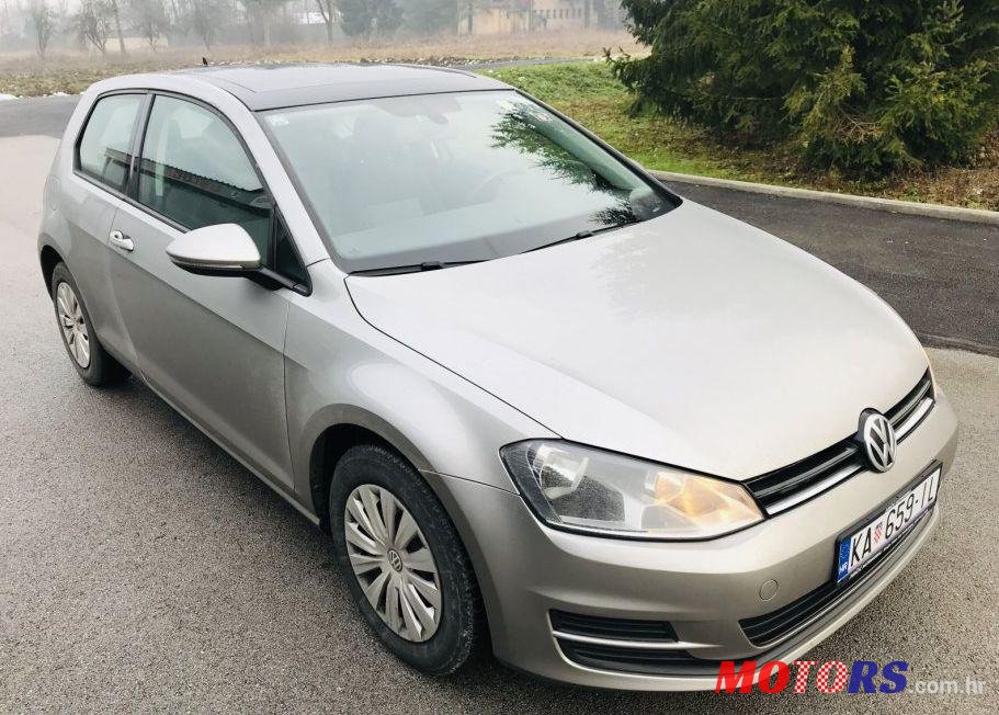 2013' Volkswagen Golf VII 1,6 Tdi Bmt photo #1