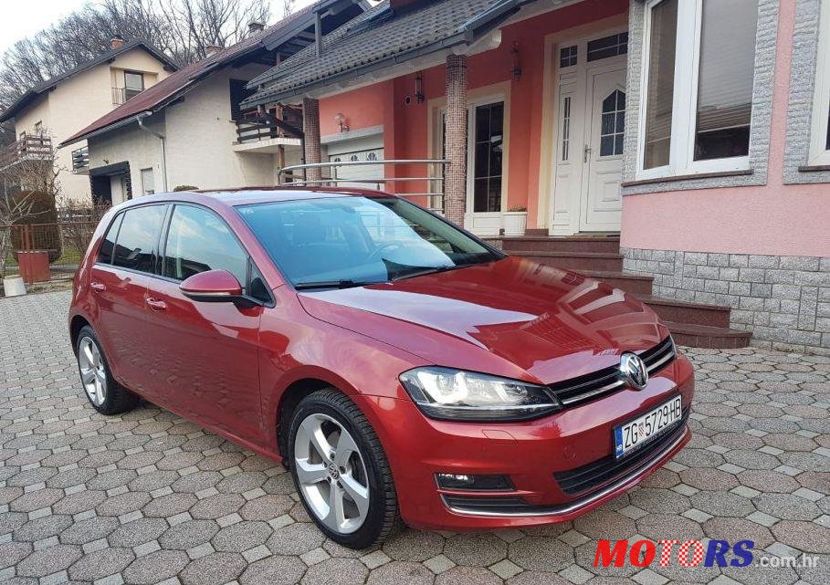 2013' Volkswagen Golf VII 2,0 Tdi Bmt photo #1