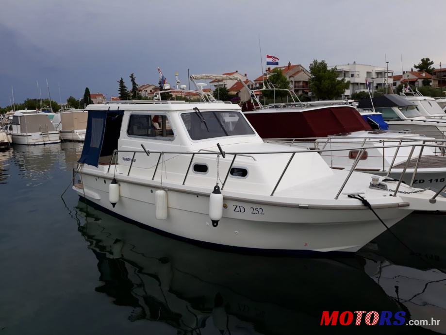 2003' Damor photo #1