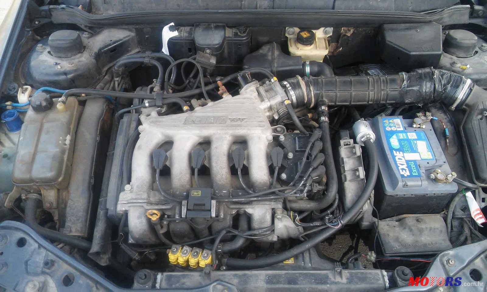 1997' Fiat Bravo photo #2