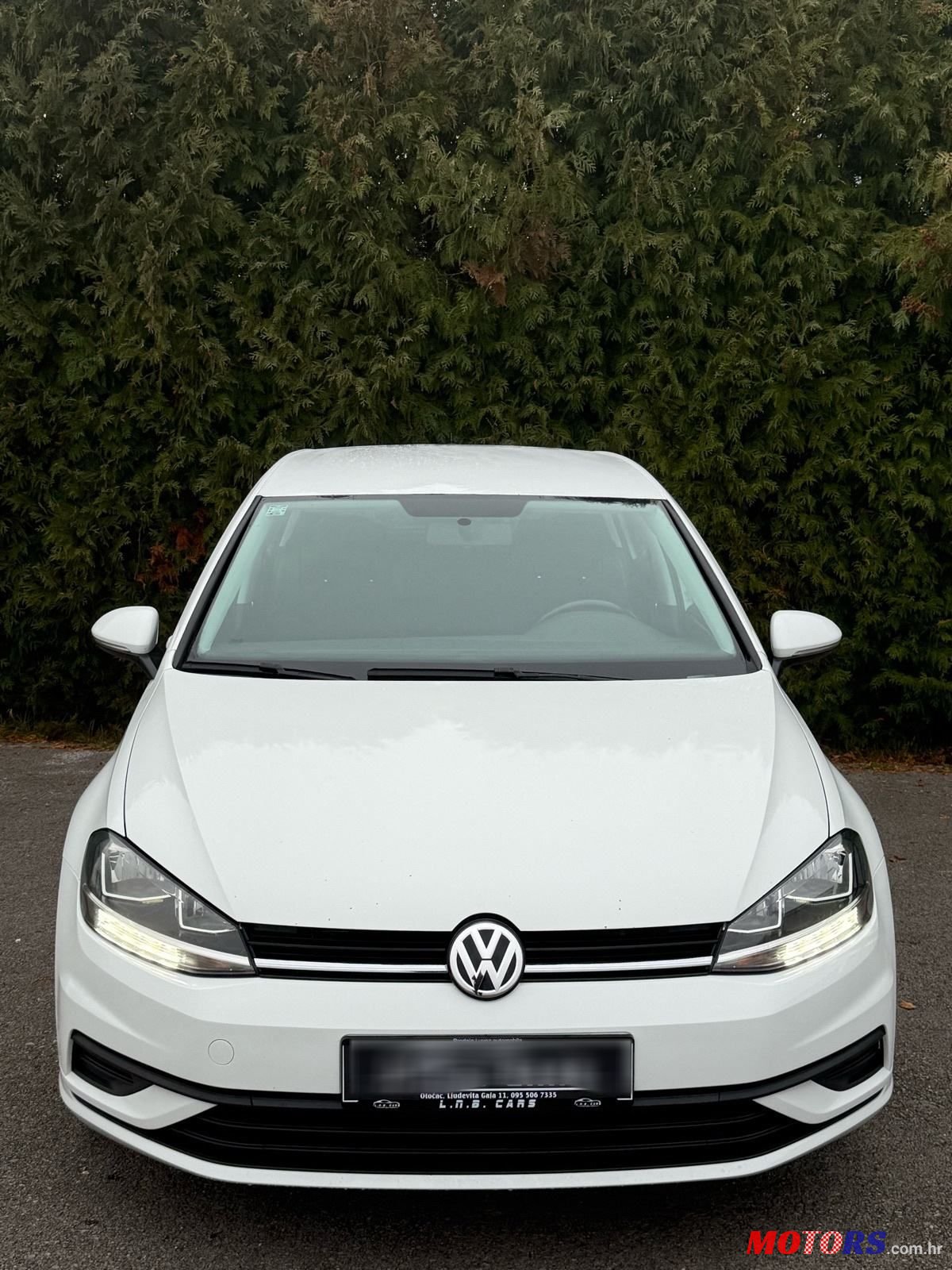 2018' Volkswagen Golf VII 1,6 Tdi Bmt photo #1