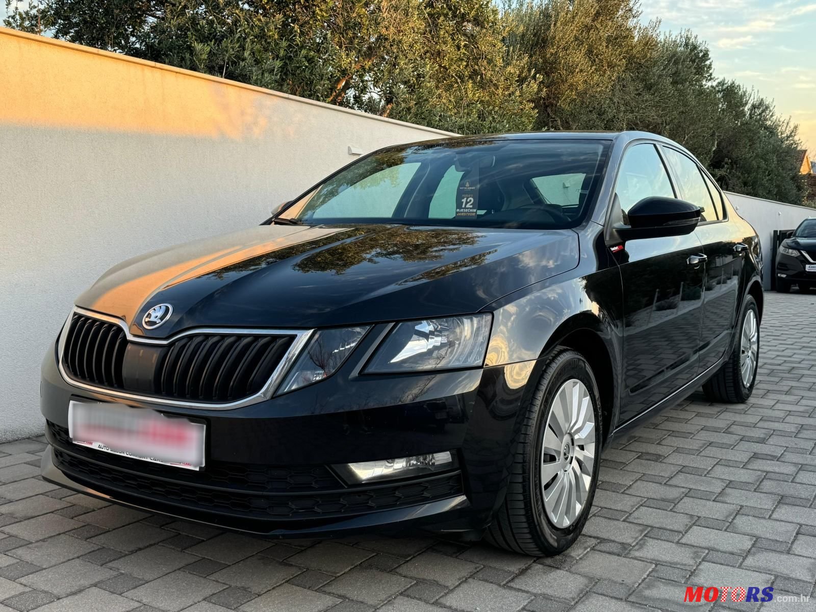 2017' Skoda Octavia 1,6 Tdi Dsg photo #4