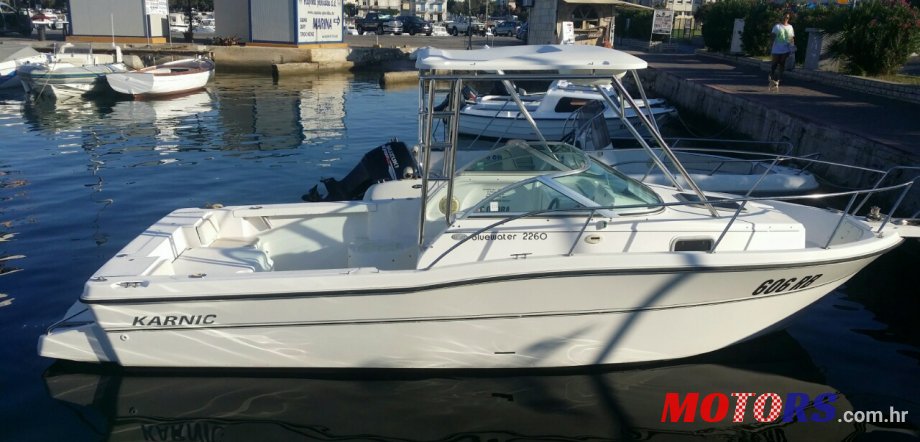 2002' Karnik photo #1