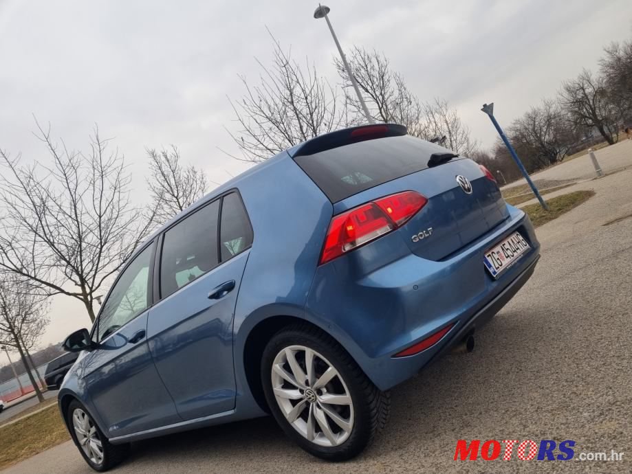 2013' Volkswagen Golf 7 1,6 Tdi Bmt photo #5