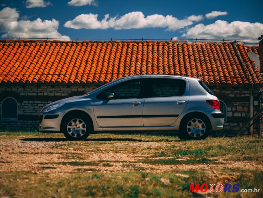 2005' Peugeot 307 1,4 16V photo #2