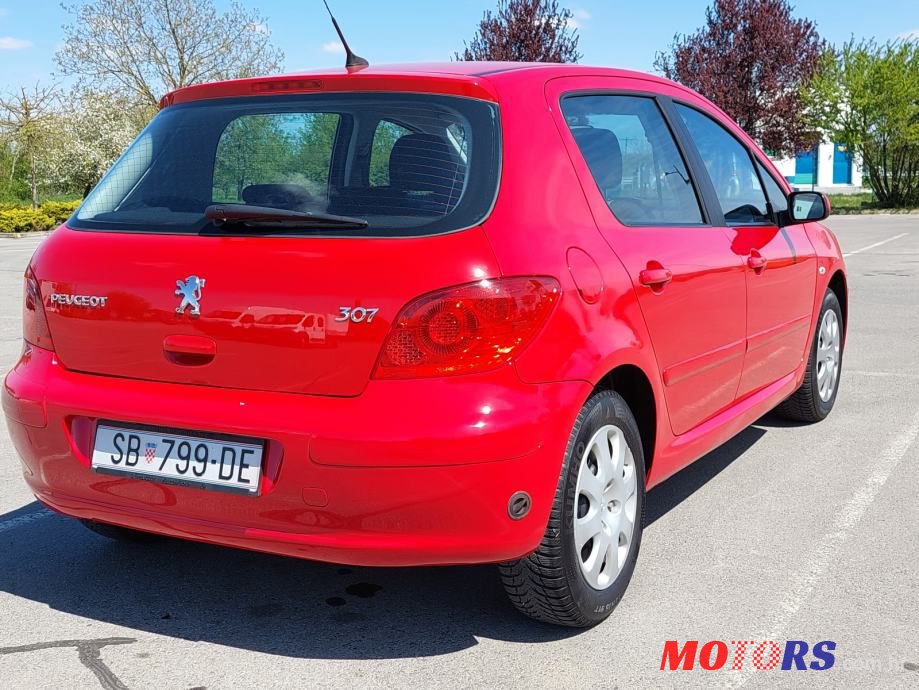 2006' Peugeot 307 photo #5