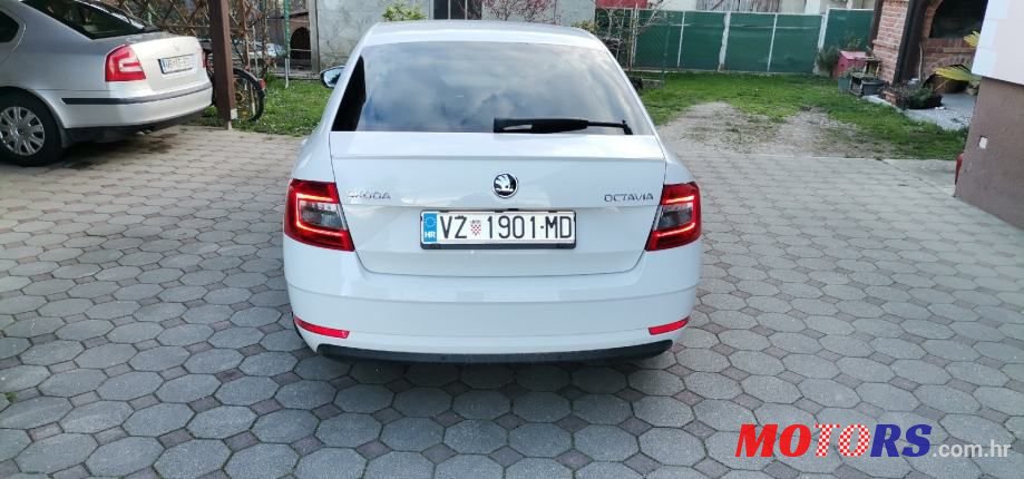 2019' Skoda Octavia 1,6 Tdi photo #6