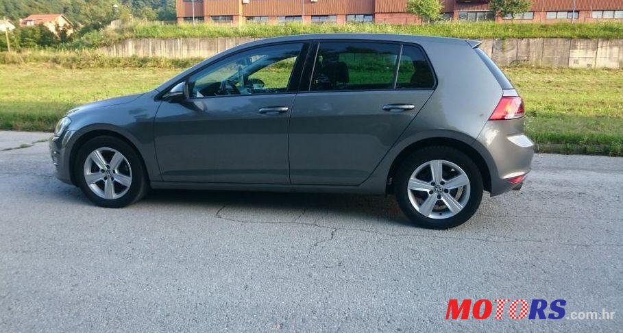2013' Volkswagen Golf VII 1,6 Tdi Bmt photo #1