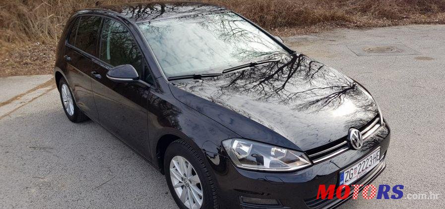 2013' Volkswagen Golf VII 1,6 Tdi Bmt photo #1