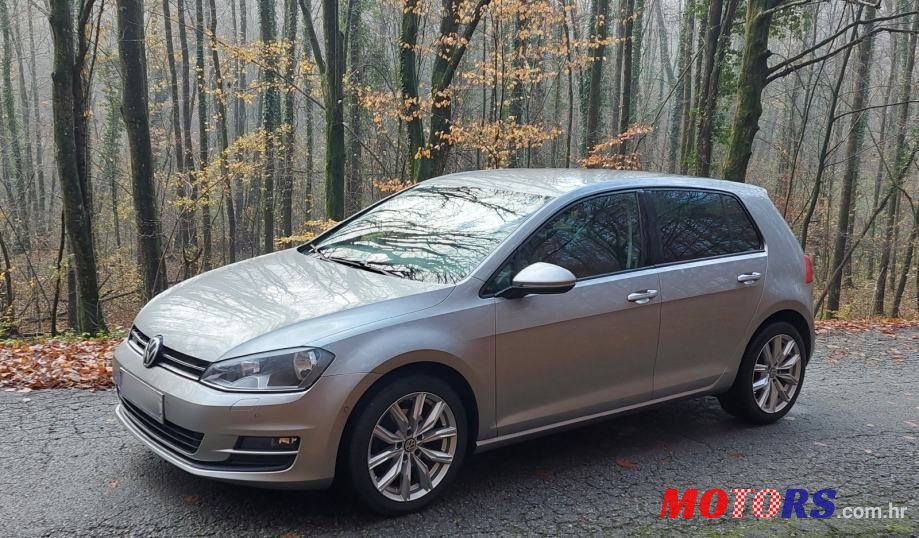 2013' Volkswagen Golf 7 1,6 Tdi Bmt photo #2