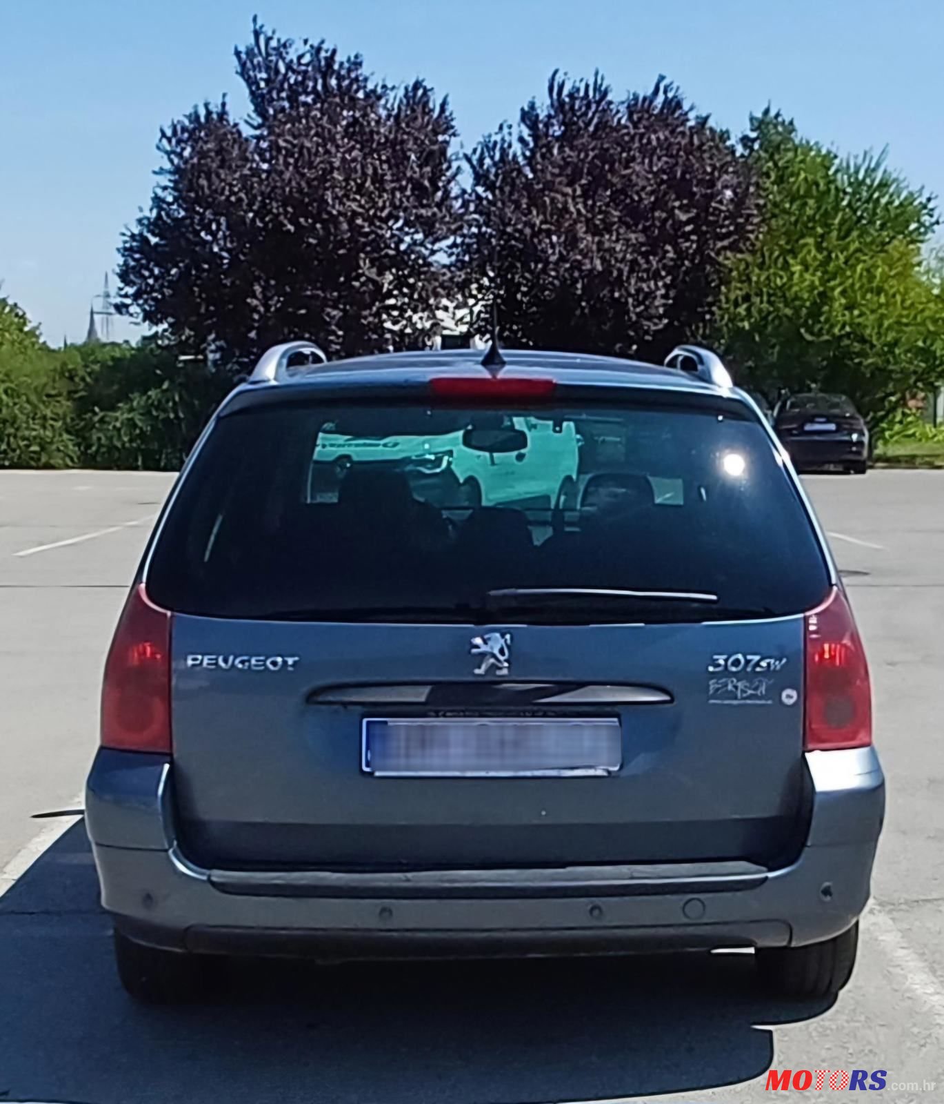 2005' Peugeot 307 Sw photo #4