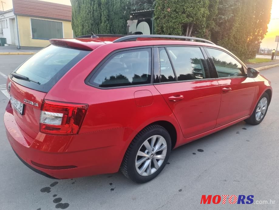 2019' Skoda Octavia 1,6 Tdi photo #4