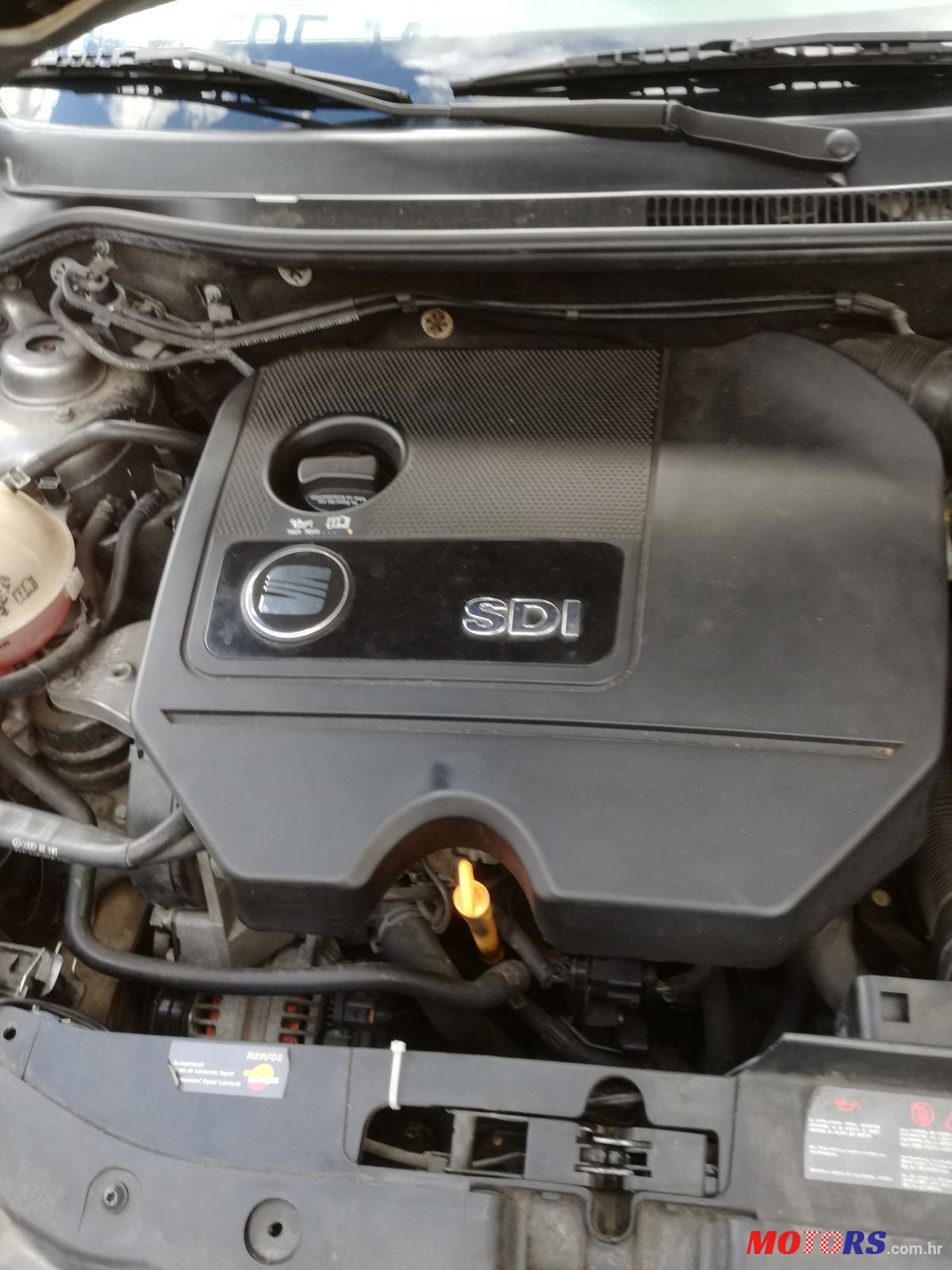 2003' SEAT Ibiza photo #3