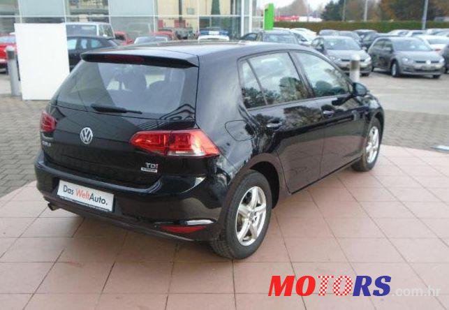 2015' Volkswagen Golf VII photo #1