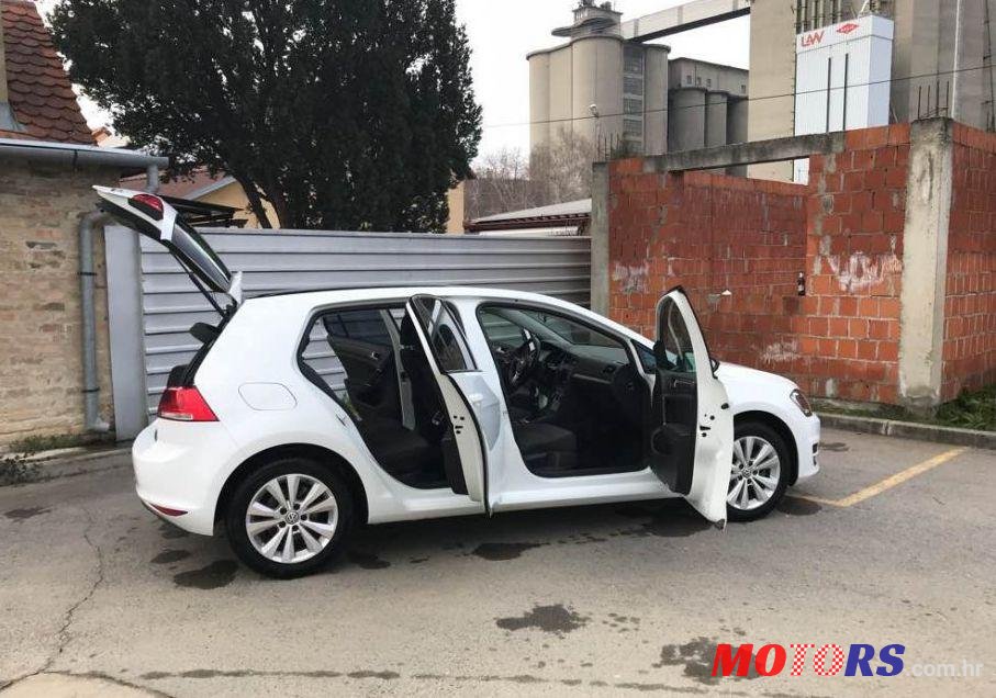 2013' Volkswagen Golf VII 1,6 Tdi Bmt photo #1