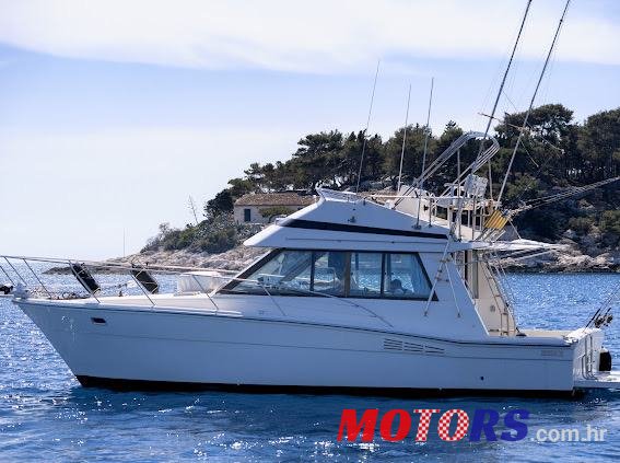 1990' Riviera 35 photo #1