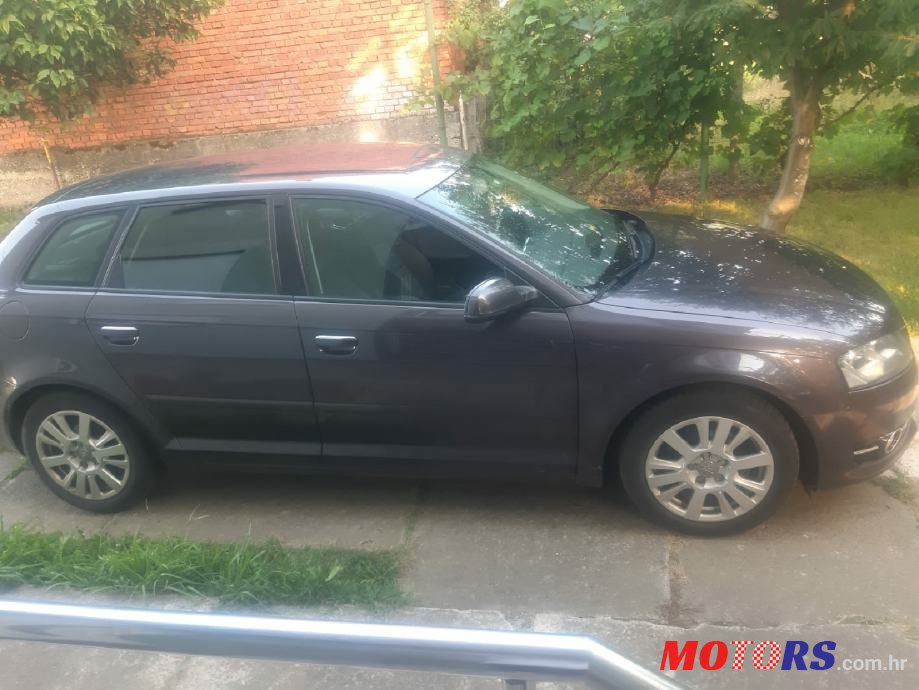 2011' Audi A3 1,6 Tdi photo #2