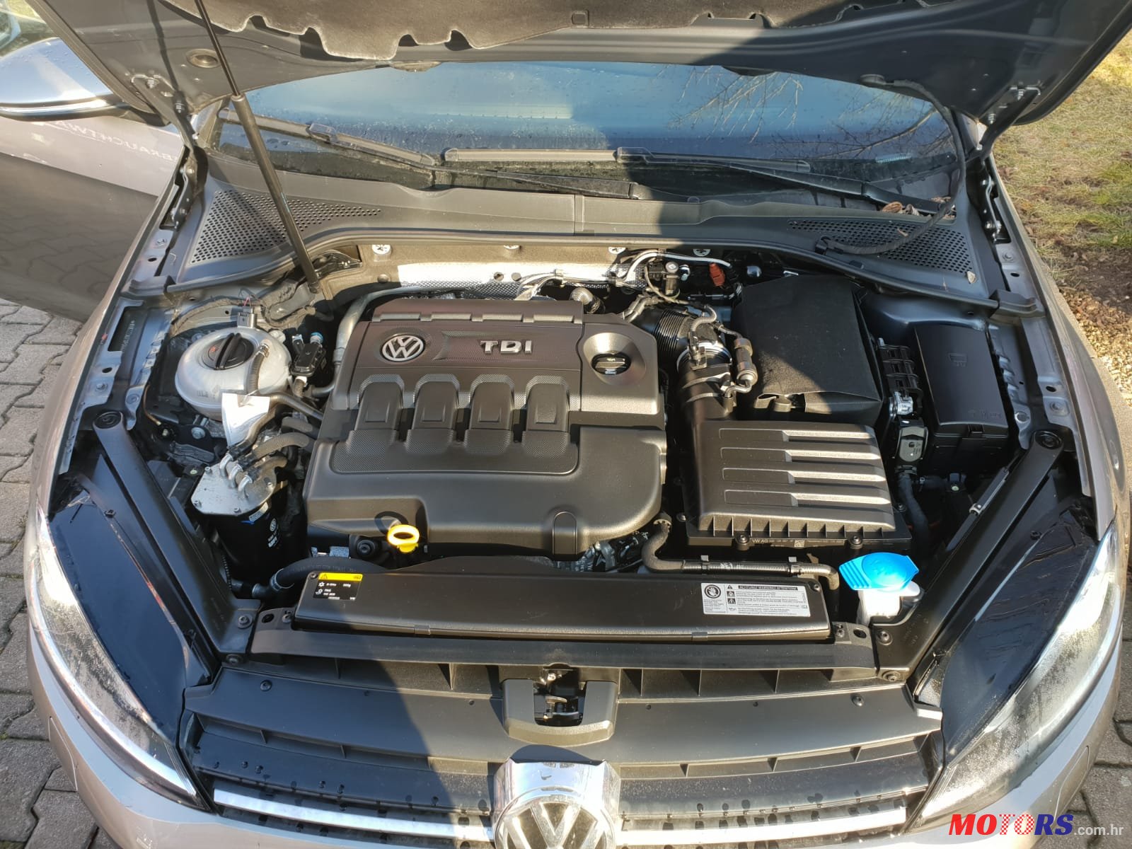 2015' Volkswagen Golf VII 2.0 TDI photo #6